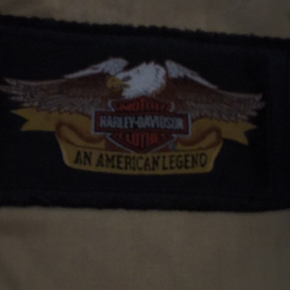 Mens Harley Davidson Leather